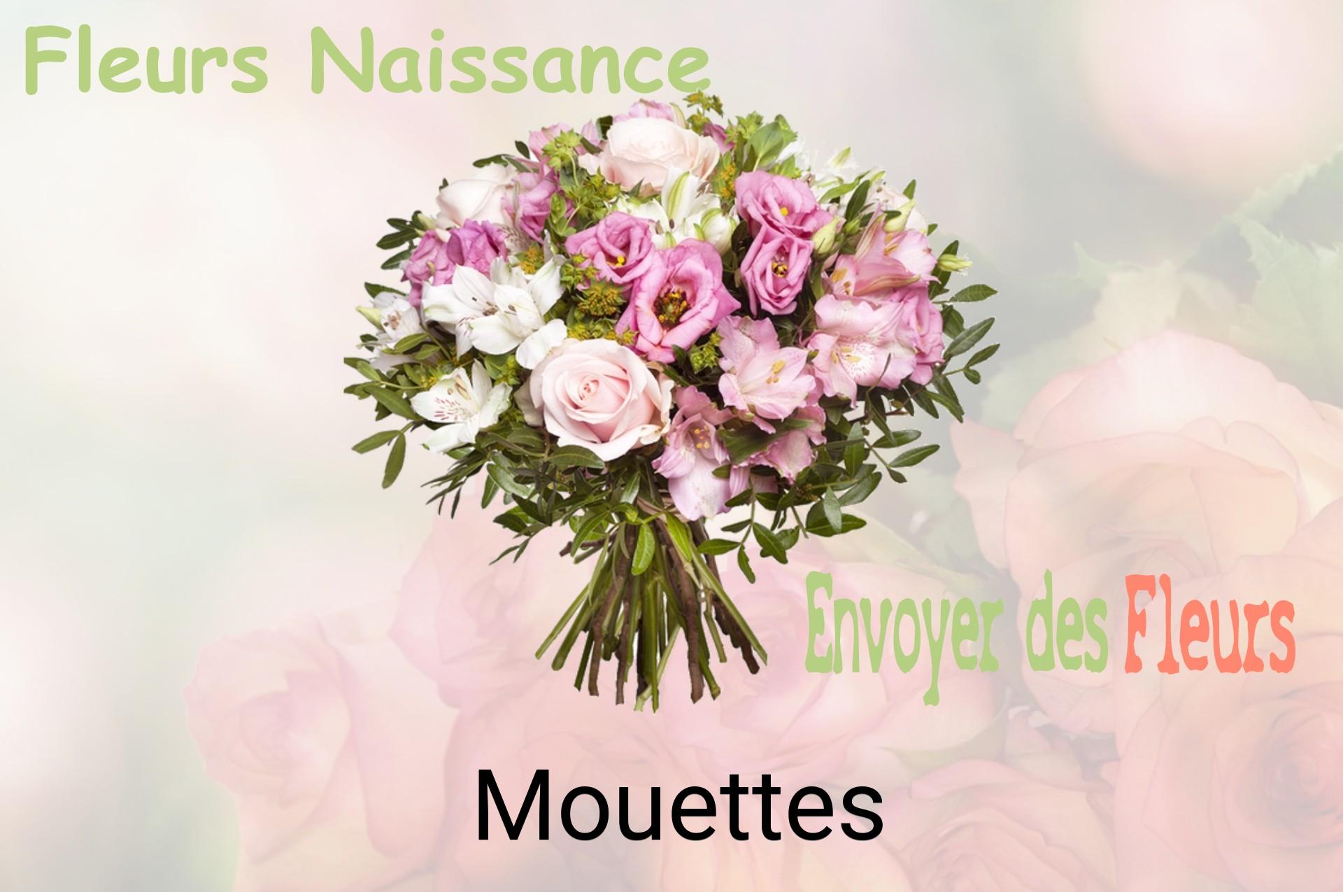 Bouquet de fleurs de naissance livré à Mouettes